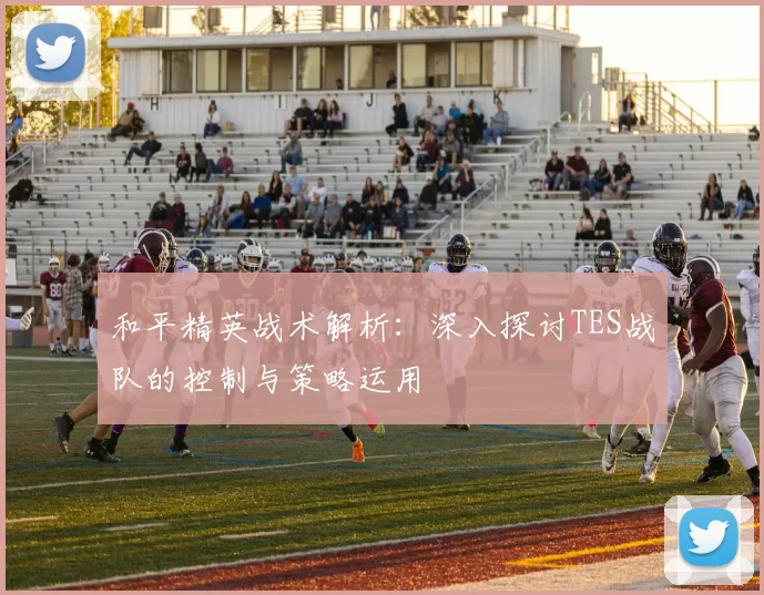 和平精英战术解析：深入探讨TES战队的控制与策略运用