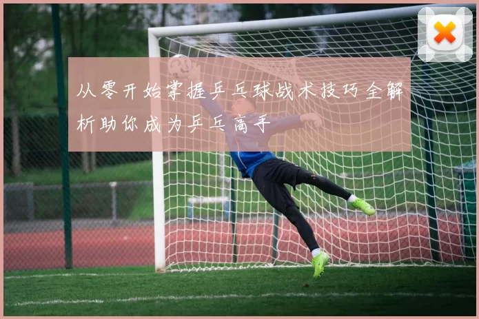 从零开始掌握乒乓球战术技巧全解析助你成为乒乓高手