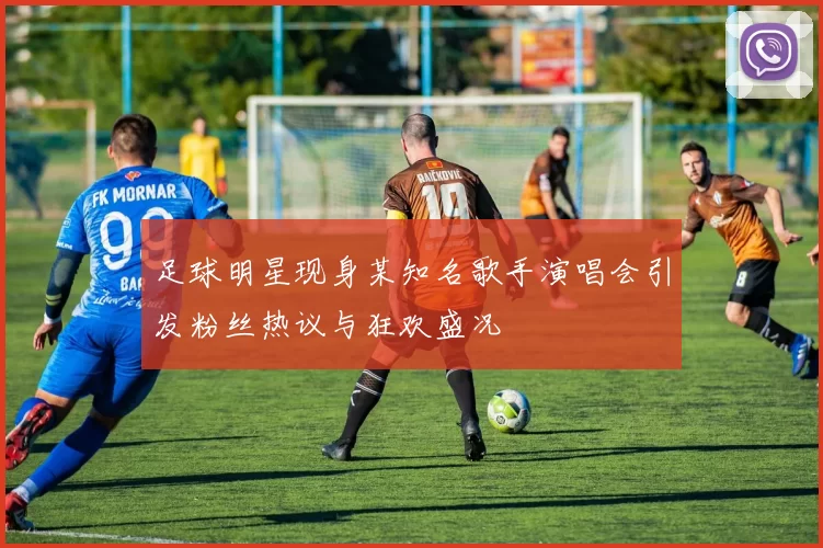 足球明星现身某知名歌手演唱会引发粉丝热议与狂欢盛况