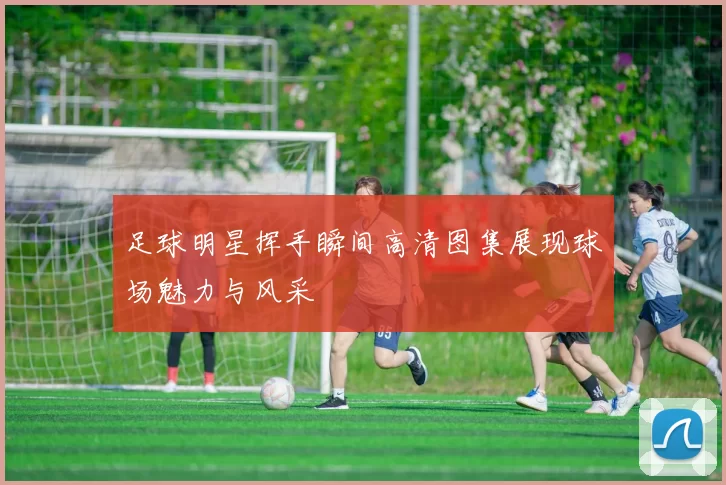 足球明星挥手瞬间高清图集展现球场魅力与风采
