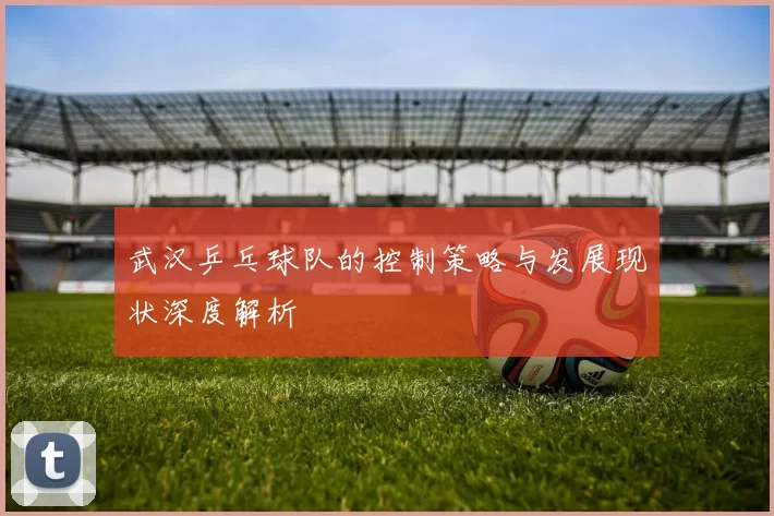 武汉乒乓球队的控制策略与发展现状深度解析