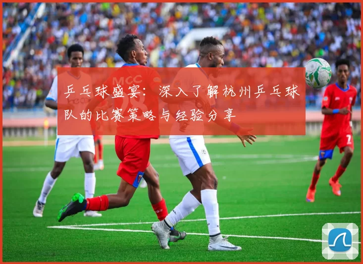 乒乓球盛宴：深入了解杭州乒乓球队的比赛策略与经验分享