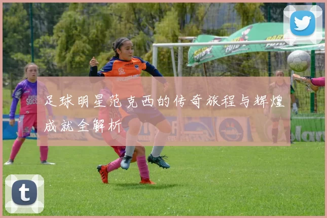 足球明星范克西的传奇旅程与辉煌成就全解析