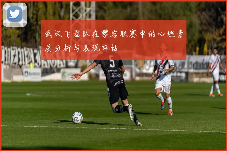 武汉飞盘队在攀岩联赛中的心理素质分析与表现评估