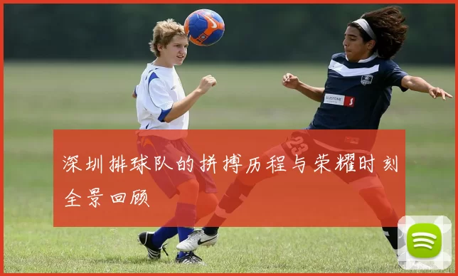 深圳排球队的拼搏历程与荣耀时刻全景回顾