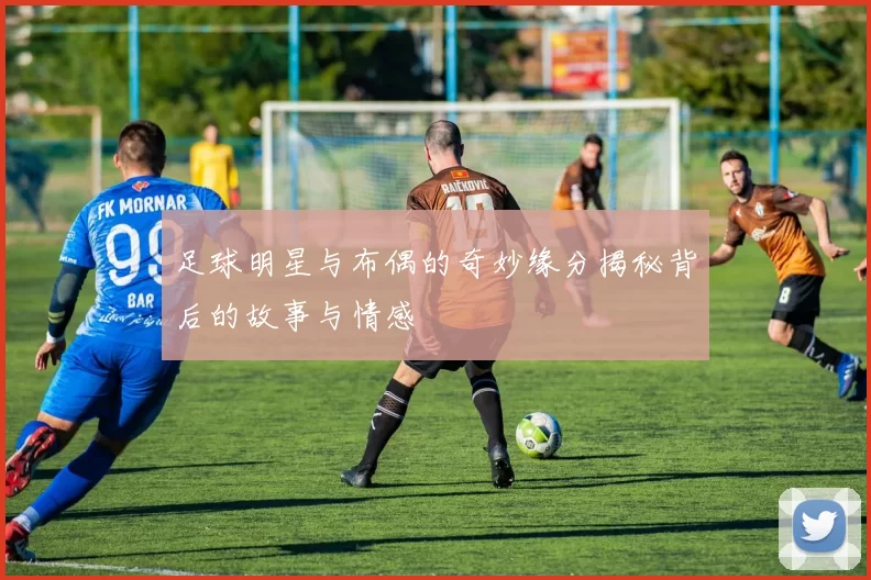 足球明星与布偶的奇妙缘分揭秘背后的故事与情感