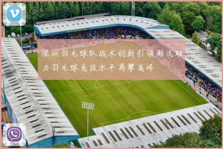 深圳羽毛球队战术创新引领潮流助力羽毛球竞技水平再攀高峰