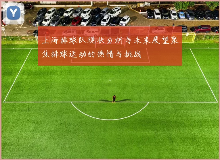 上海排球队现状分析与未来展望聚焦排球运动的热情与挑战