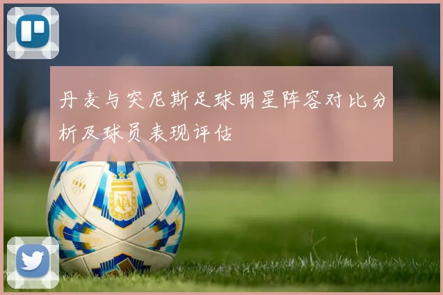 丹麦与突尼斯足球明星阵容对比分析及球员表现评估