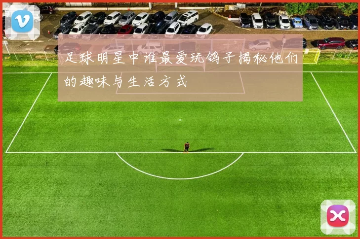 足球明星中谁最爱玩鸽子揭秘他们的趣味与生活方式