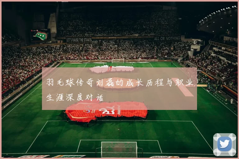 羽毛球传奇刘磊的成长历程与职业生涯深度对话