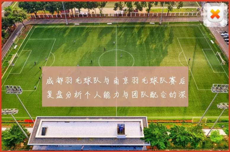 成都羽毛球队与南京羽毛球队赛后复盘分析个人能力与团队配合的深度探讨