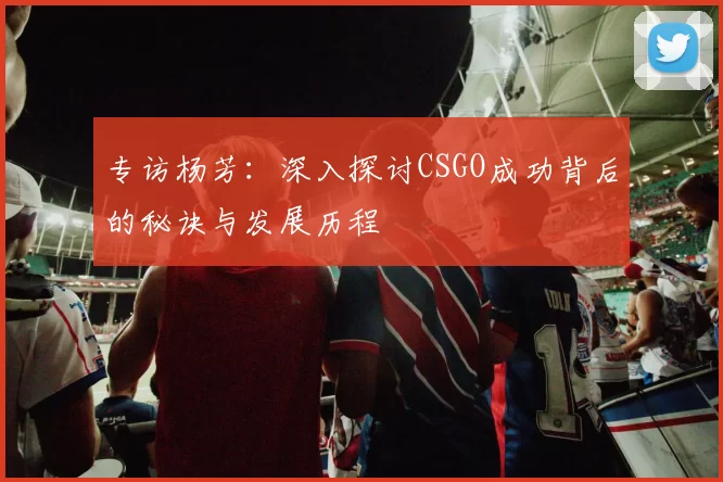 专访杨芳：深入探讨CSGO成功背后的秘诀与发展历程