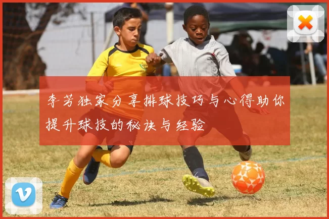 李芳独家分享排球技巧与心得助你提升球技的秘诀与经验
