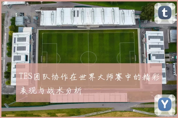 TES团队协作在世界大师赛中的精彩表现与战术分析